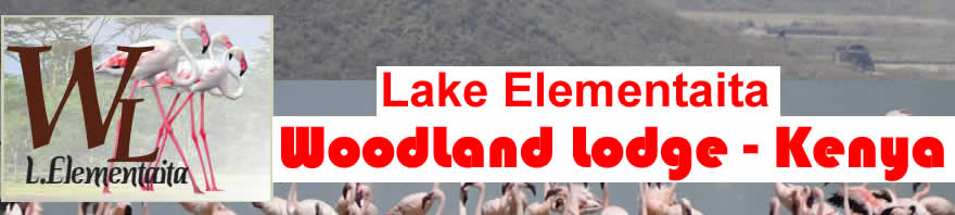 Lake Elementaita - Woodland Lodge - Kenya